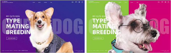 1564473369439650.jpg 配图8 双师型电子商务专业教师培养培训班企业实践第一阶段课程回顾.jpg